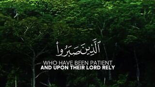 نیکی کی طرف واپس لوٹ آؤ