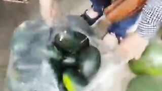 ميني بطيخ