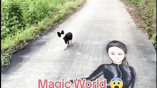 Magic world