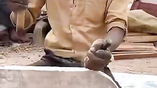 make a masala grading tool