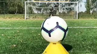 Amazing saves goalkeeper