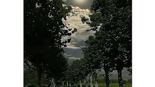 ????????????????????????