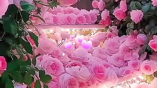 status,status video,status song,status whatsap,beast song,good song,video,songs