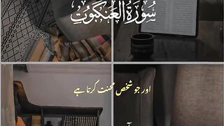 Quran with translation status short video