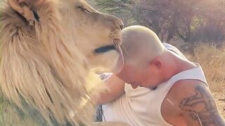 Lion vs man loving you