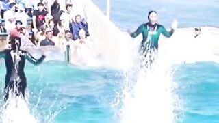Watch the full video of these  and dolphins