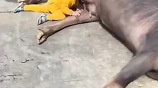 Baby drink milk
