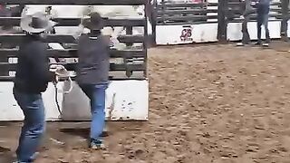 What happened to this horse watch full video