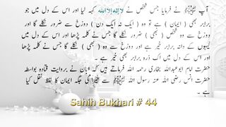 Sahih Bukhari # 44