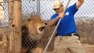 Damn Nature You Scary _ Funny Scary Animal Encounters.