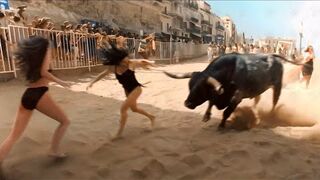 When Animals Go On A Rampage And Got Caught On Camera !. Upload