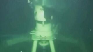 In 2006, scientists were inspecting a gas line 3,000 feet underwater, when they encountered something rather unexpected