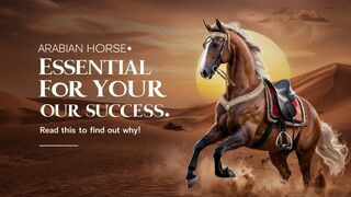 Arab HORSE Is Essential For Your Success  Read This To Find Out Why