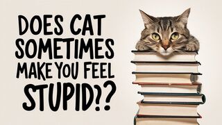 Does CAT sometimes make you feel stupid?