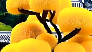 Ai free Tree images and video chinas tree so beautiful