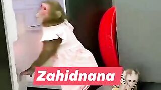 funny video ????????????