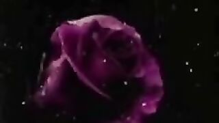 Beautiful video -نبی پاک ﷺ فرماتے ہے اللہﷻ کی بارگاہ_@ peer ajmal raza qadri_low. plz subscribe and watch my video