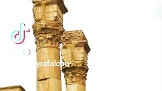 Palmyra 4
