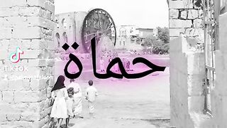 مدينة حماة