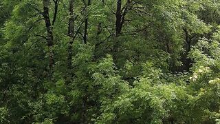 Paisajes Nature## suscríbete