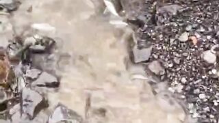 Catch small fish