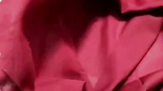 Red cat