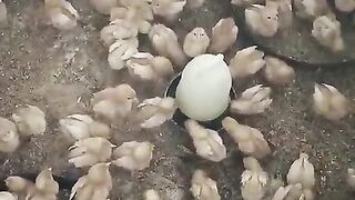 To do this thing