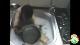 New one video,Try to don't laugh