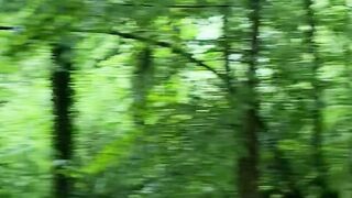 Health and nature