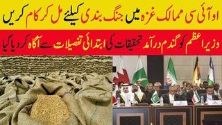 اوآئی سی ممالک غزہ میں جنگ بندی کیلئے مل کرکام کریں