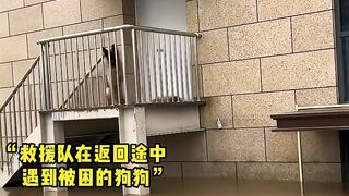 Interesting video