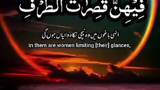Achay log