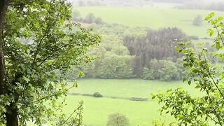 Roche aux faucons