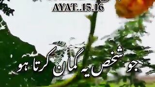 Beautiful Quran recitation ????????