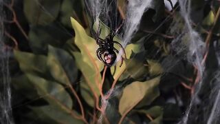 The World everything amazing | Episode 240 | 2024 |