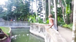 A orangutan makes a fair trade with a man