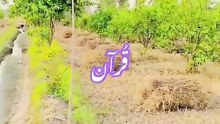 تِلاوت قُرآن #urdu