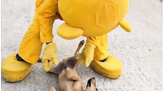 Funny Video