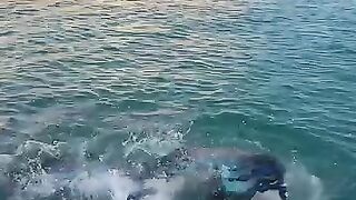 Are these two  or are they fish? Tell me in the comments
