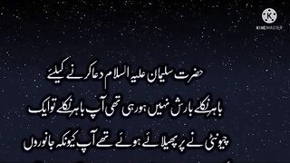 چیونٹی کی دعا اور حضرت سلیمان علیہ السلام