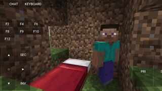 Troll minecraft :v