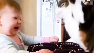 HILARIOUS Cat Video That Will Make You LOL ALL DAY!