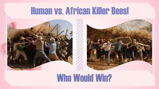 Deadly African Bees vs Humans: Who Will Prevail?