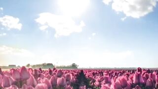 القرآن الكريم _alkran alkarim