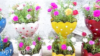 Ideas to recycle plastic bottles