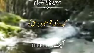 AllQuran????????????