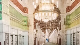 روضہ رسول پر سلام پیش کرنے کیلیئے جانے کاراستہ