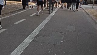 Walk 2024