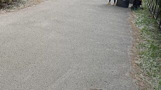 Машинка в парке