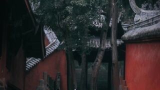 音樂：刪除